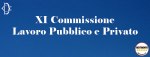 Commissione Lavoro Pubblico e Privato